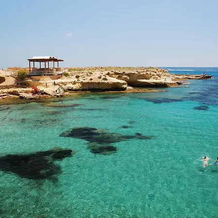 Amerador * El Campello